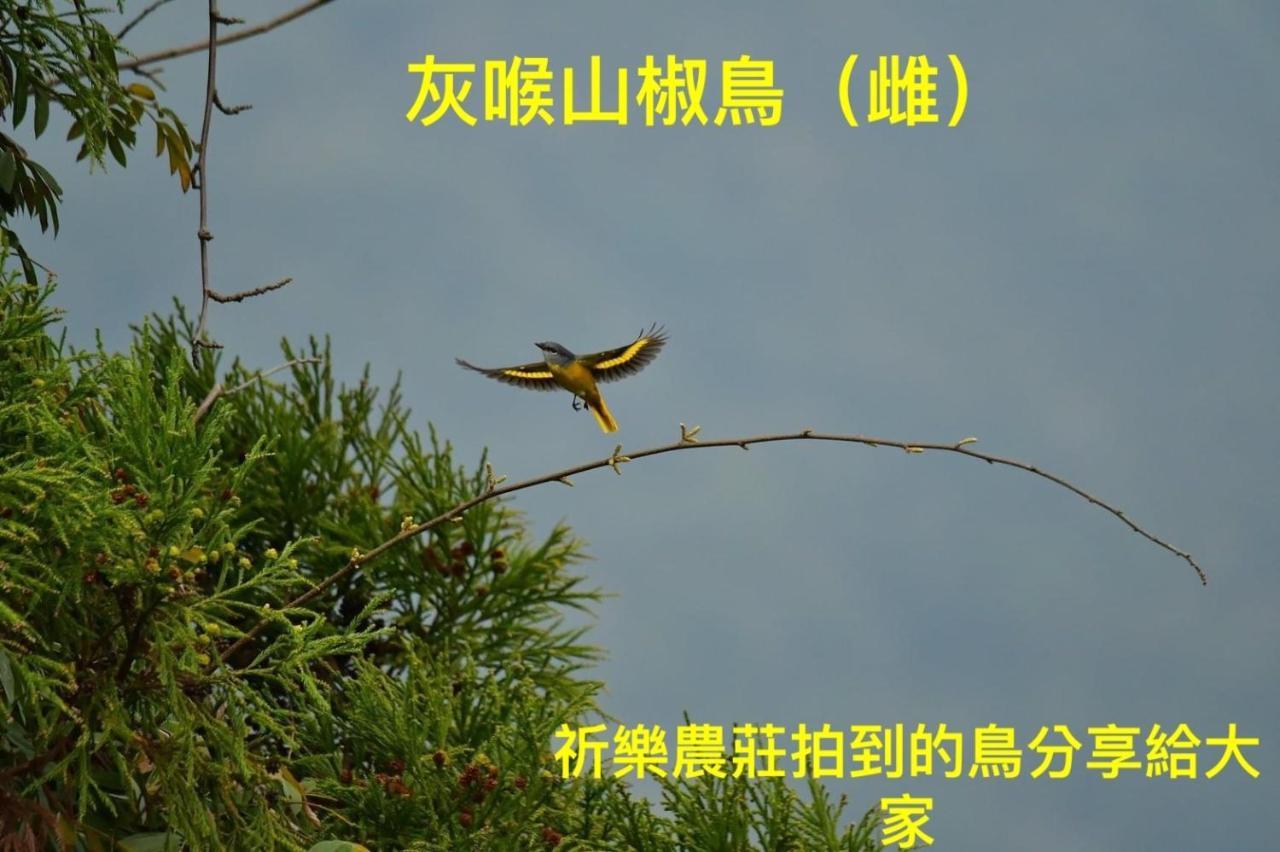 Lala Mountain Homestay‧Cile Farm Hualing Exterior foto