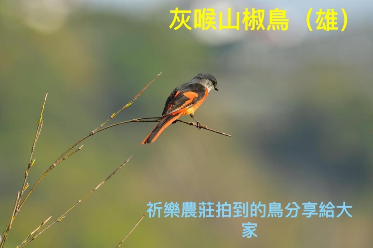 Lala Mountain Homestay‧Cile Farm Hualing Exterior foto