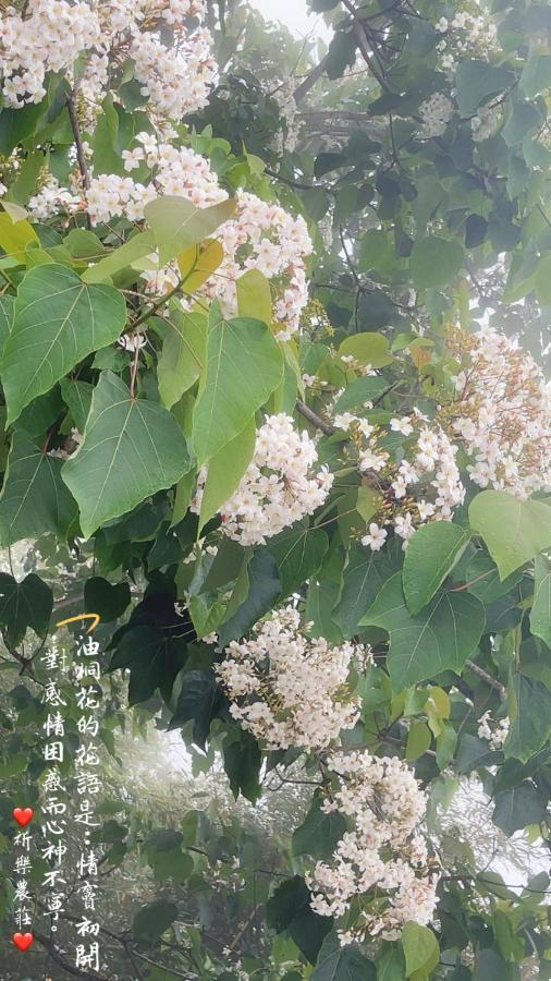 Lala Mountain Homestay‧Cile Farm Hualing Exterior foto